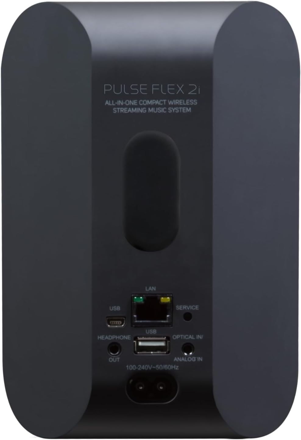 Bluesound Pulse Flex 2i tragbarer kabelloser Streaming-Lautsprecher - Schwarz Black, Black