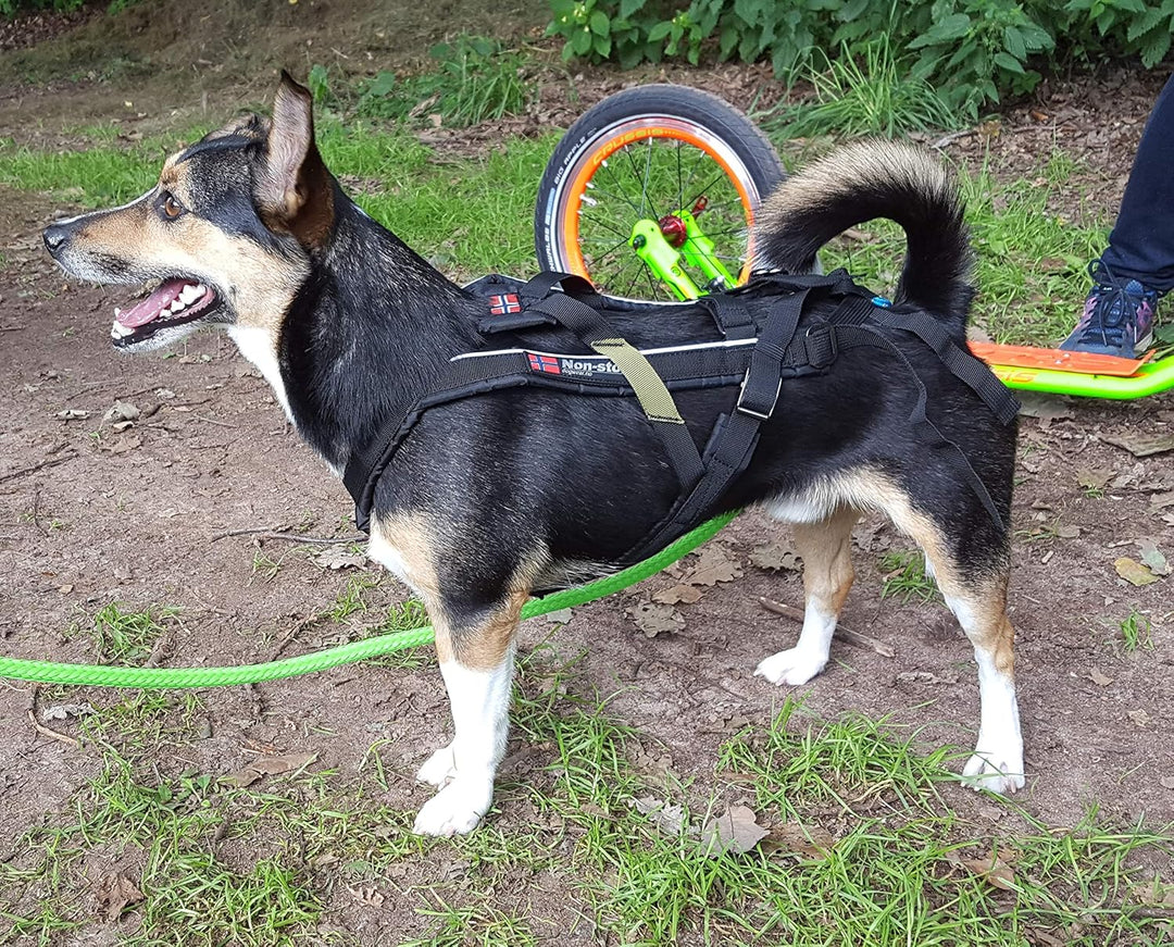 Dog Copenhagen Non-Stop Canicross-Geschirr Free Motion Grösse T10 Schwarz Size 9, Schwarz Size 9