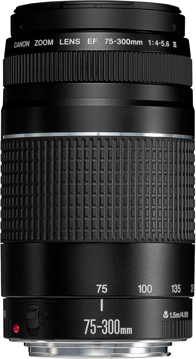 Canon EF 75-300mm F4.0-5.6 III Zoomobjektiv (58mm Filtergewinde) schwarz Telezoomobjektiv Single, Te