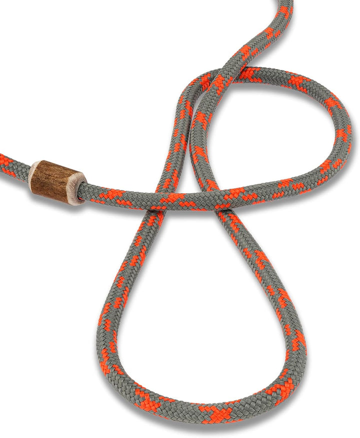 Hundeleine mit Halsband 6mm | Moxonleine Retrieverleine Agilityleine | Mit Zugbegrenzung, Zugstopp a