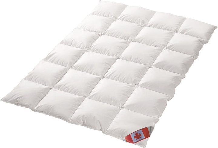 Schäfer all-season down bed cassette footbed Canadian down 100% natural country down bed Warmth grad