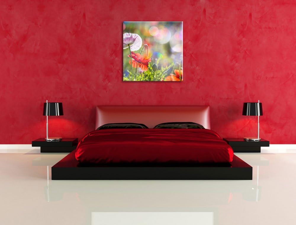 Pixxprint Kalifornischer Mohn im Frühling, Format: 70x70 auf Leinwand, 70x70