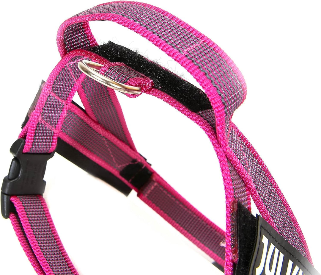 Julius-K9, IDC® Color & Gray® Beltgeschirr pink-grau XS / Mini-Mini, pink-grau XS / Mini-Mini