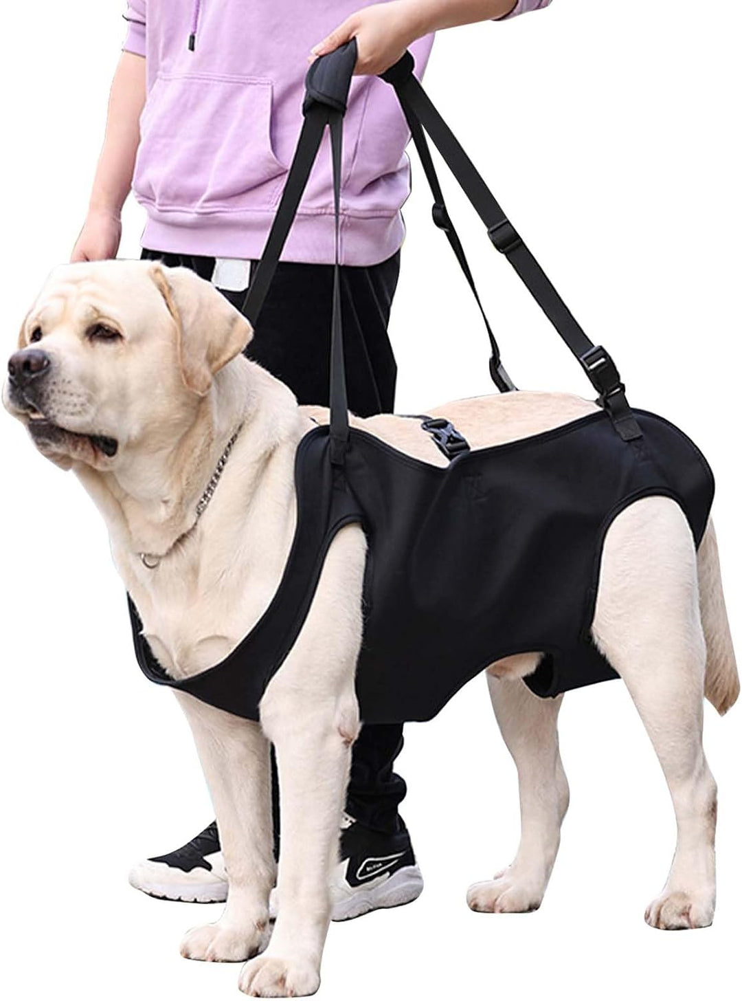 Hundeliftgeschirr, Haustierunterstützung Hund Lift Support für Hunde, Rehabilitation Geschirr Mobili