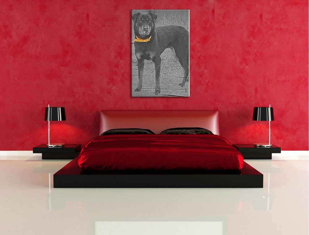 prächtiger grosser Rottweiler schwarz/weiss Deluxe Format: 100x70 cm auf Leinwand, XXL riesige Bilde