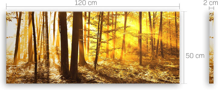 ge Bildet Bild auf Leinwand | Landschaftsbilder - beautiful morning in the forest G in 120x50 cm als