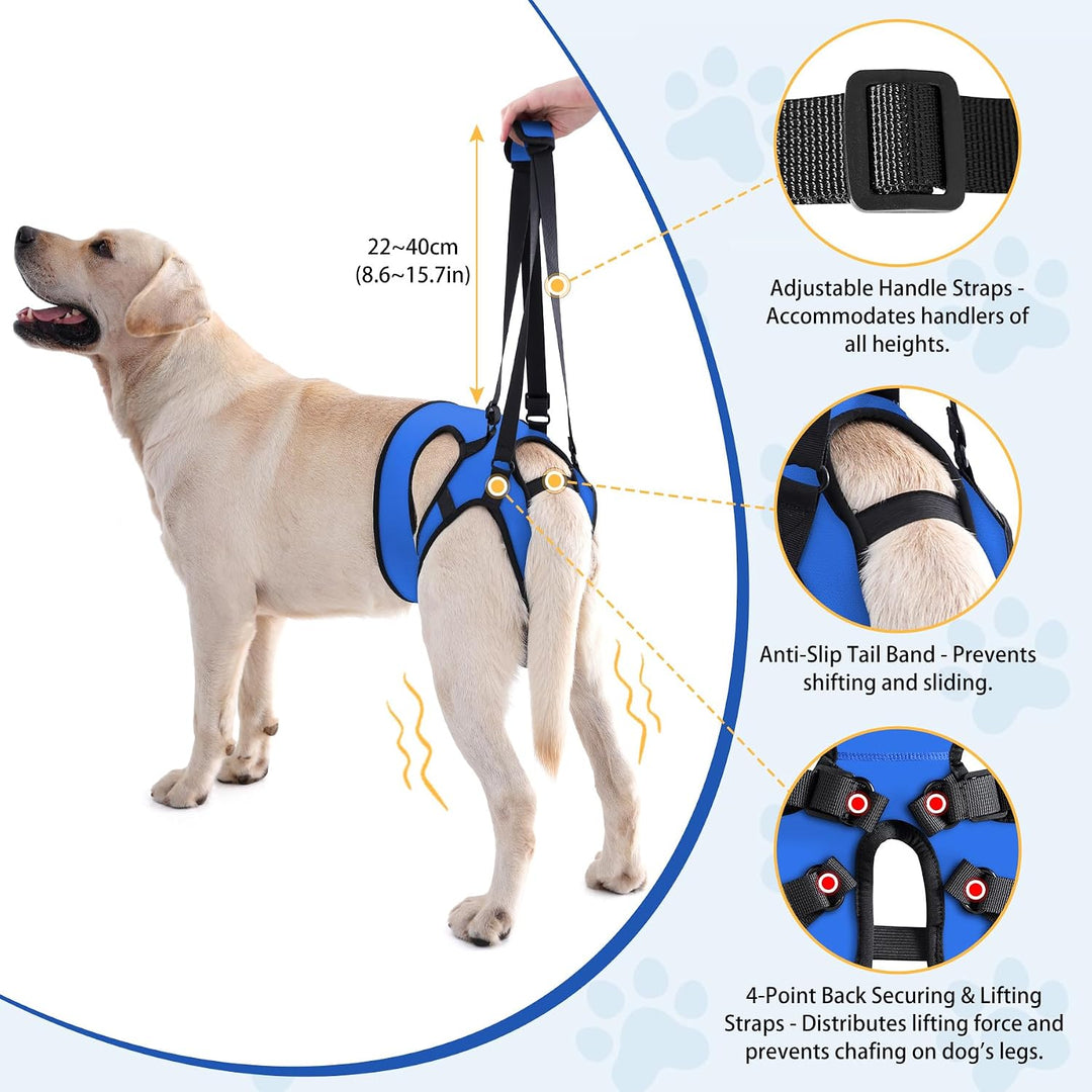 Dotoner Tragehilfe Hund, Anpassbare Tragehilfe für Alle Hundegrössen, Stabiler Beinsupport &amp; Treppen