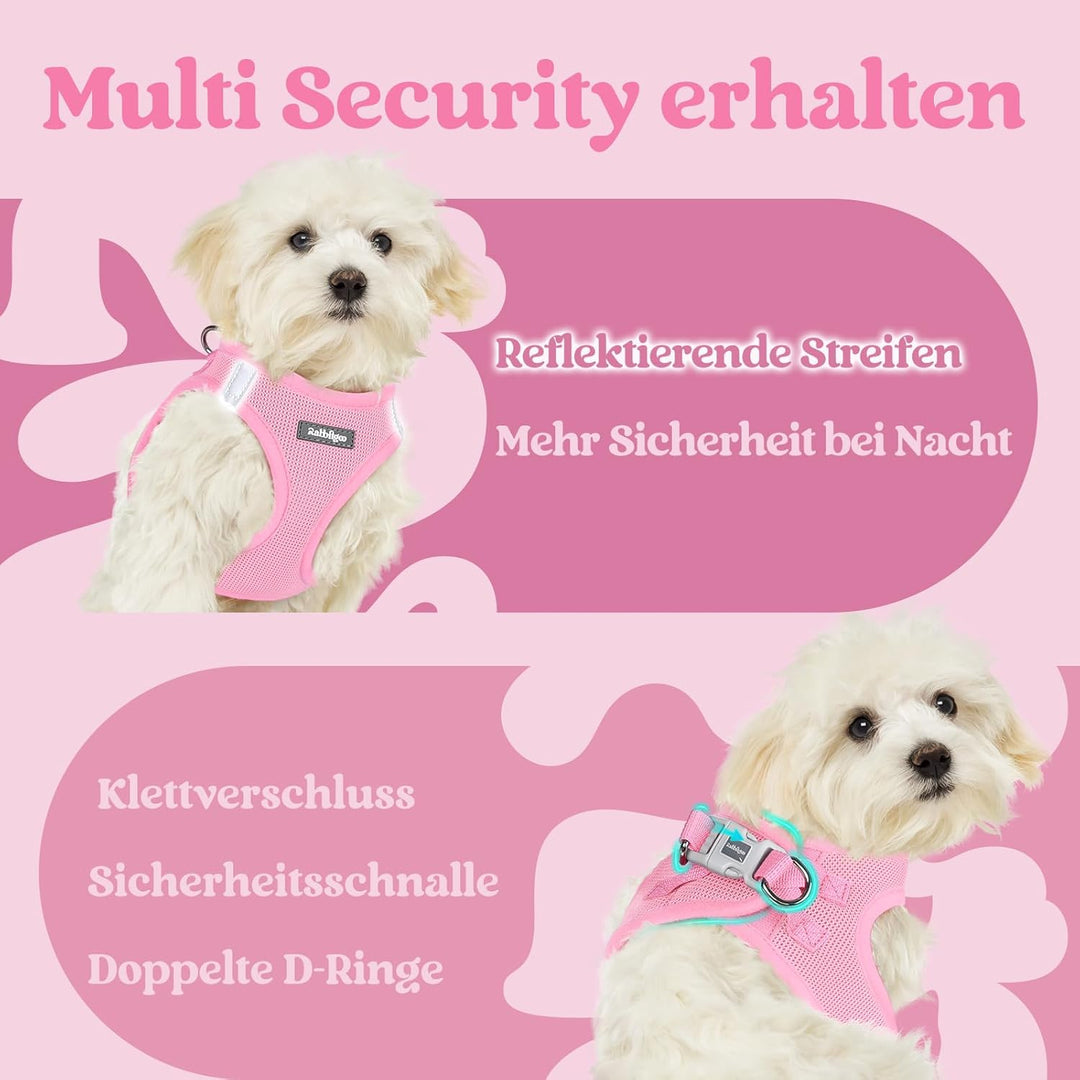 rabbitgoo Hundegeschirr Kleine Hunde, Step-in Welpengeschirr Weich Mesh für Spaziergänge, Atmungsakt
