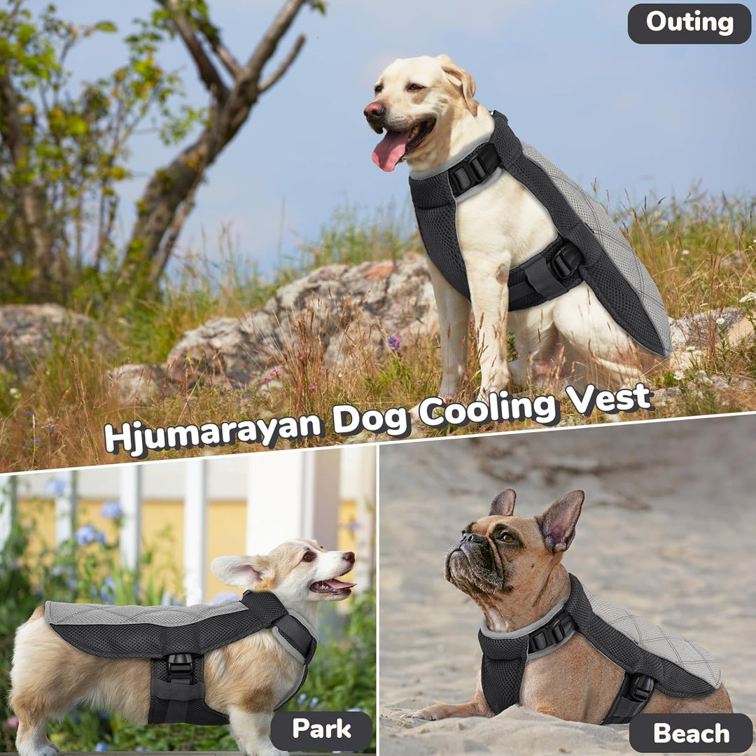 Kühlweste Hund, Sommer Kühlgeschirr für Hunde mit D-Ringe, Sonnenschutz Hund Kühlmantel, Kühlendes H