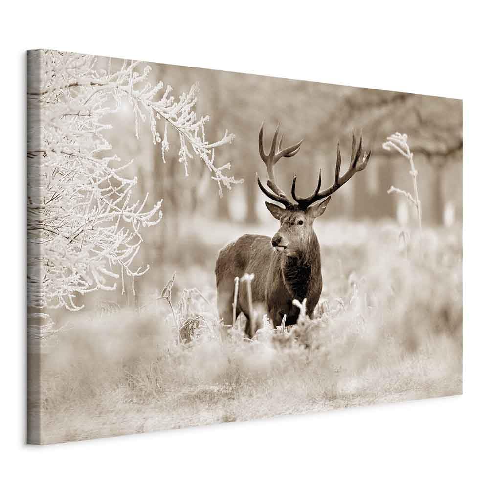 murando - Bilder Hirsch 90x60 cm Vlies Leinwandbild 1 tlg Kunstdruck modern Wandbilder XXL Wanddekor