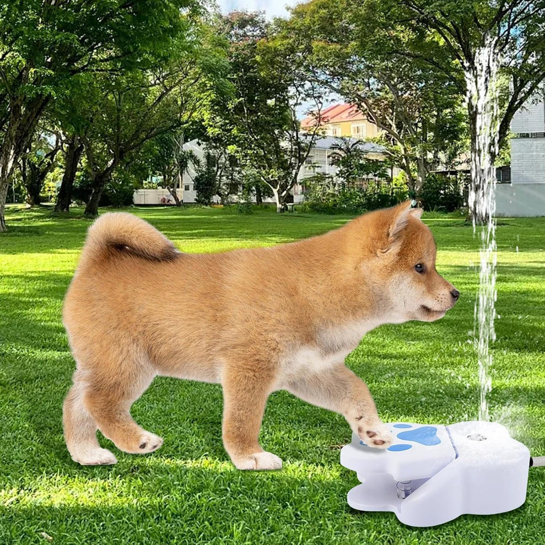 Hundetrinkbrunnen - Wasserspielzeug Für Welpen Im Garten Und Rasen - Fussbetätigter Gartentränke