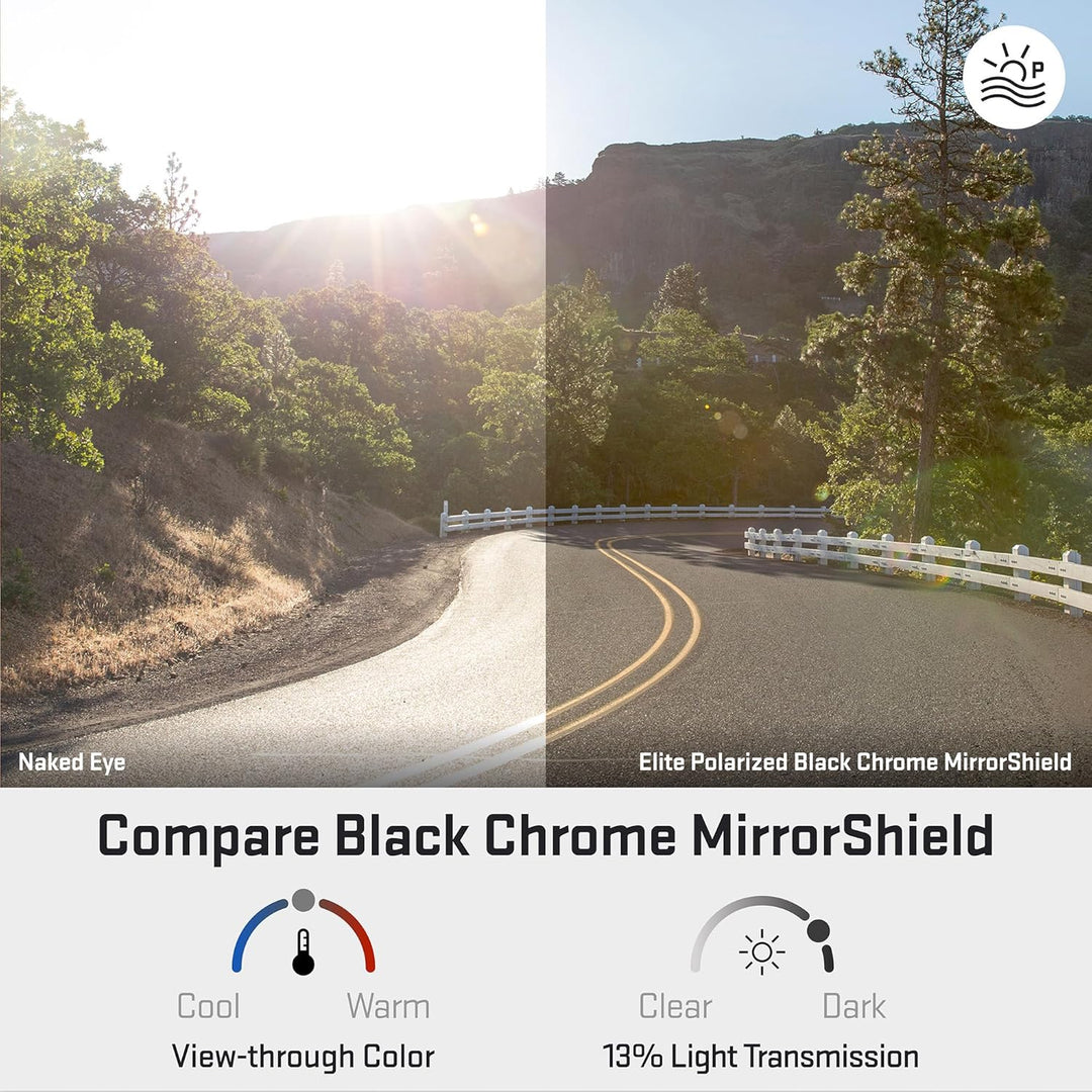 REVANT Ersatzgläser für Costa Fantail - Kompatibel mit für Costa Fantail Schwarz Chrome Mirrorshield