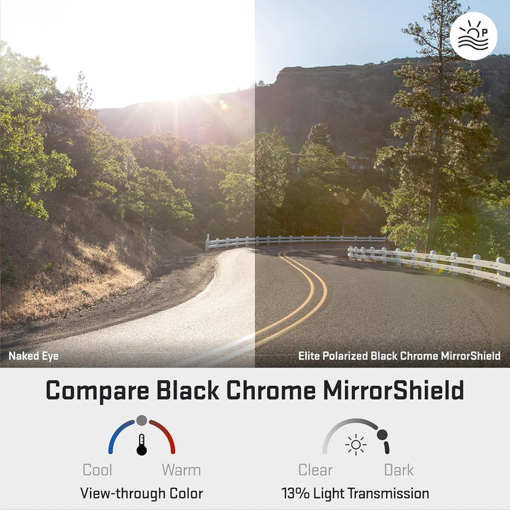 REVANT Ersatzgläser für Costa Fantail - Kompatibel mit für Costa Fantail Schwarz Chrome Mirrorshield