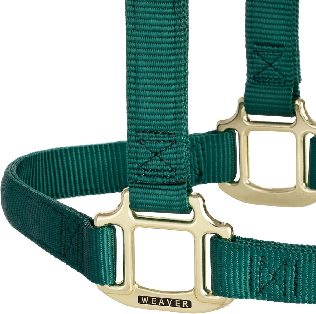 WEAVER Leather, Nicht verstellbares Halfter Jäger-Grün Large Horse, Jäger-Grün Large Horse