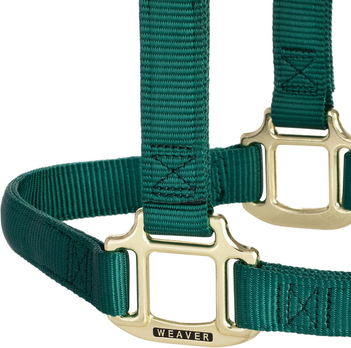 WEAVER Leather, Nicht verstellbares Halfter Jäger-Grün Large Horse, Jäger-Grün Large Horse
