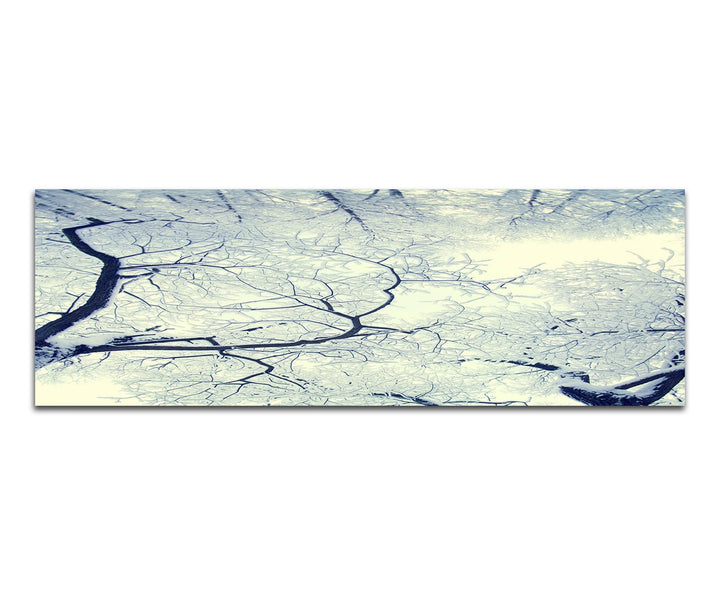 Paul Sinus Art Panoramabild auf Leinwand und Keilrahmen 150x50cm Wald Bäume Schnee Winter