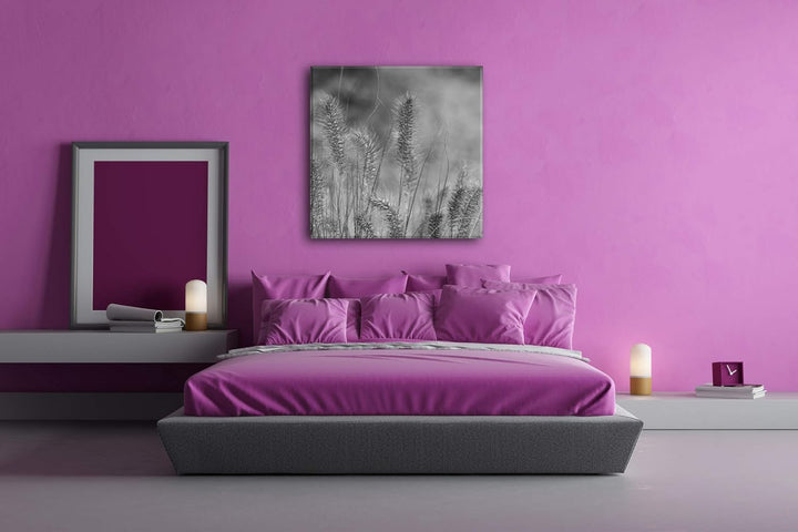 deyoli schöne Weidengräser Format: 70x70 Effekt: Schwarz&Weiss als Leinwandbild, Motiv fertig gerahm