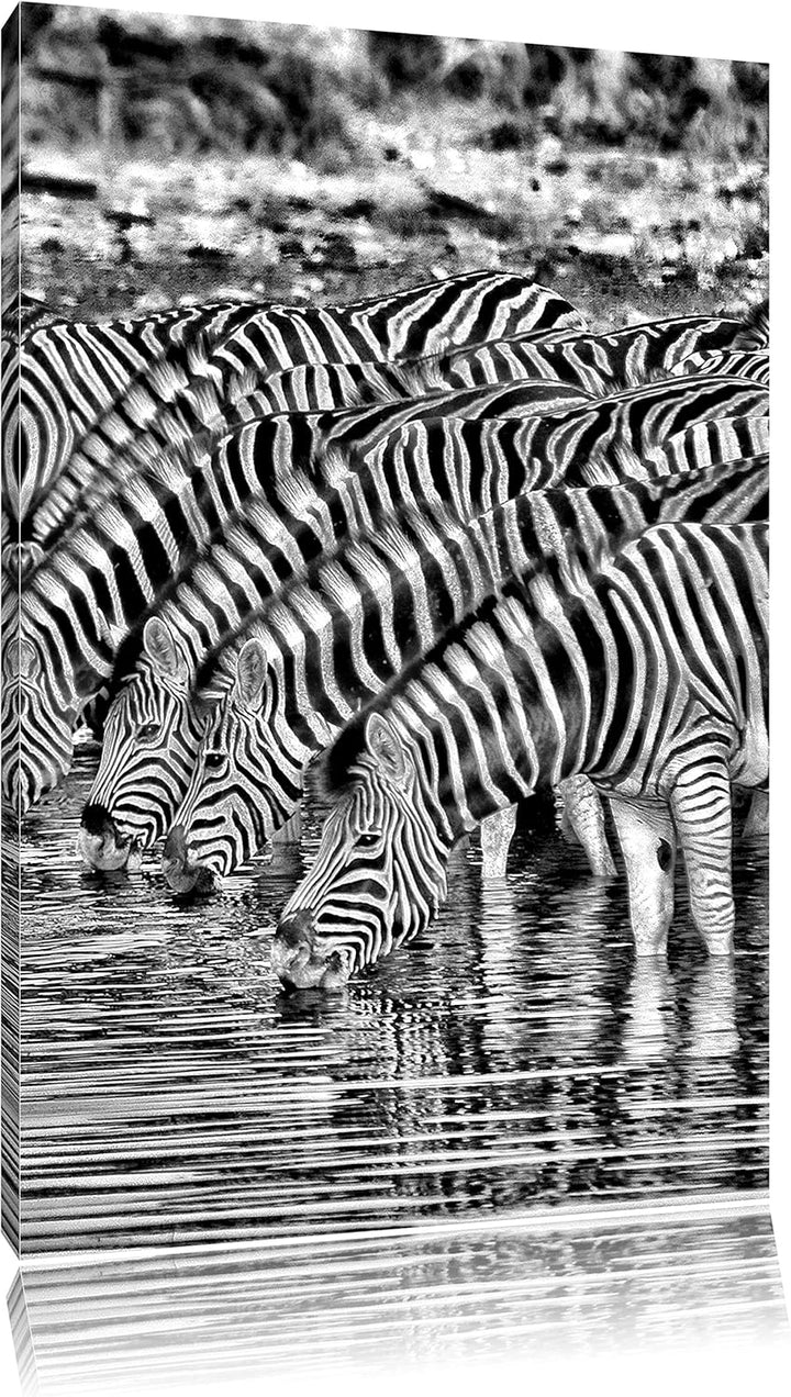 Safari mit Zebras in Afrika / 100x70cm Leinwandbild bespannt auf Holzrahmen/Wandbild Kunstdruck Deko