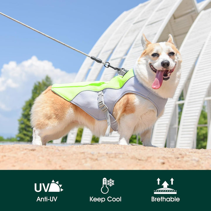 Kuoser Kühlweste für Hunde, Hundekühlungsmantel für heisse Sommertage, Atmungsaktive & Reflektierend