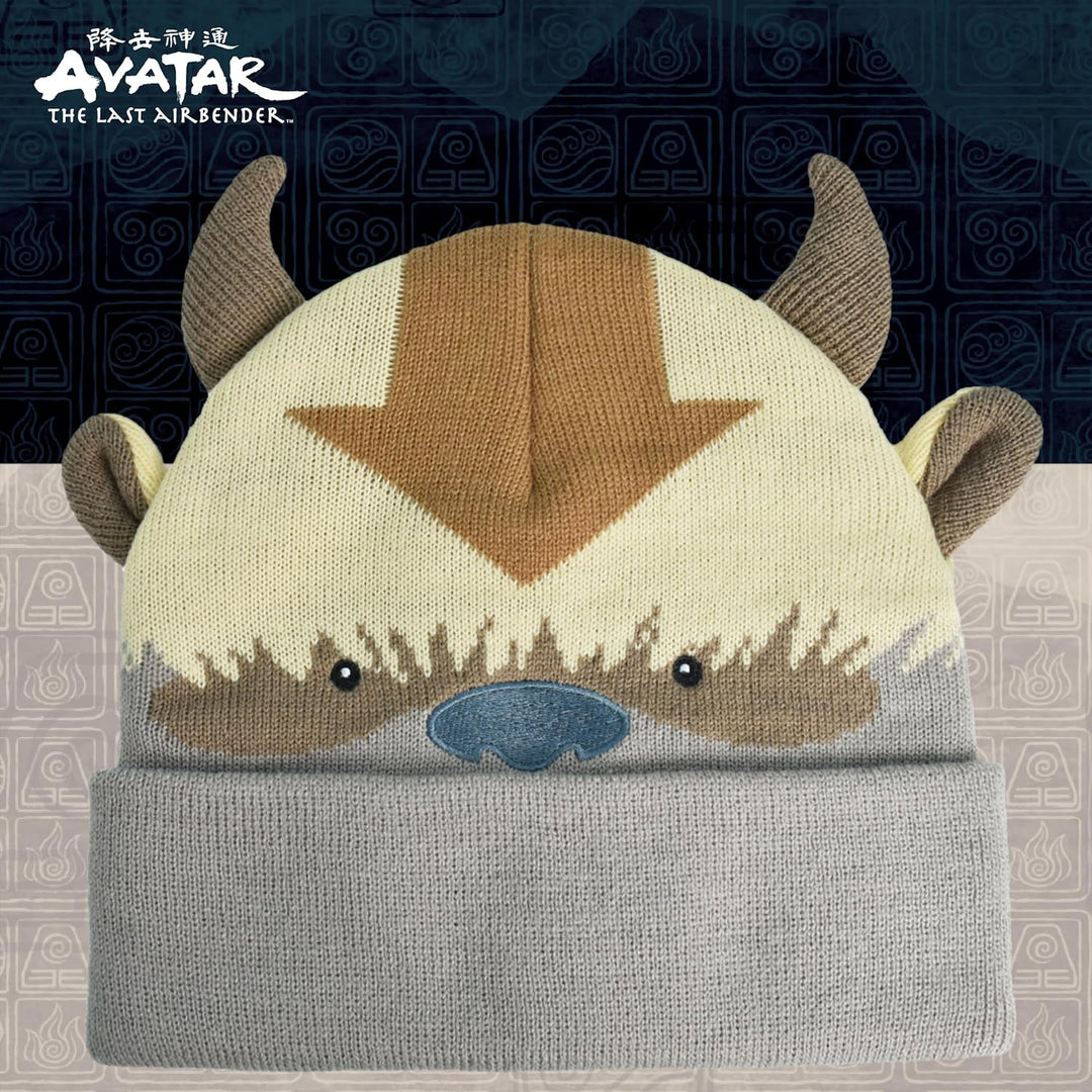 Avatar The Last Airbender Strickmütze für den Winter, mit Manschette, Mehrfarbig, Einheitsgrösse mul