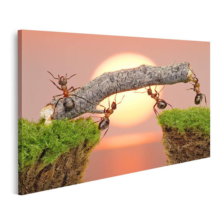 islandburner Bild auf Leinwand Team Ameisen Arbeiten Beim Bau Einer Brücke Bilder Wandbilder Poster