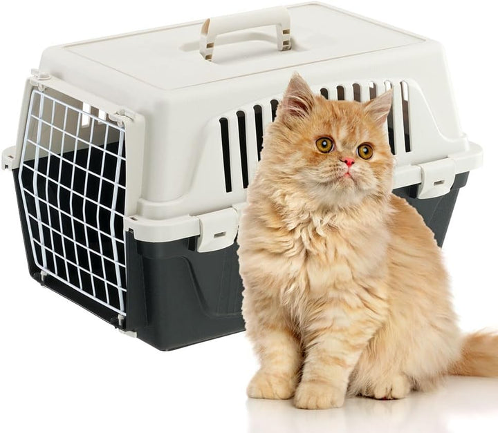 Ferplast Transportbox Katze, Hundetransportbox kleine Hunde und Katzen bis 5 kg, Tür aus plastifizie