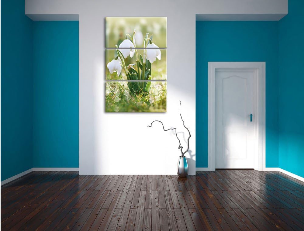 Pixxprint Schneeglöckchen als Leinwandbild/Grösse: 3 Teilig (120x80) cm/Wandbild/Kunstdruck/fertig b