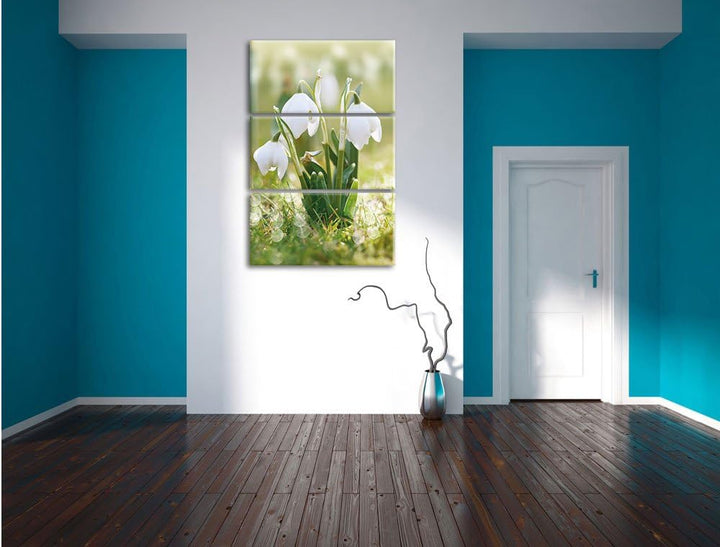 Pixxprint Schneeglöckchen als Leinwandbild/Grösse: 3 Teilig (120x80) cm/Wandbild/Kunstdruck/fertig b