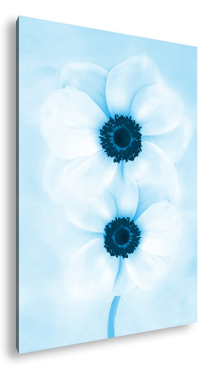 deyoli malerische weisse Blumen Format 100x70 Effekt: Monocrome Blau als Leinwandbild, Motiv fertig