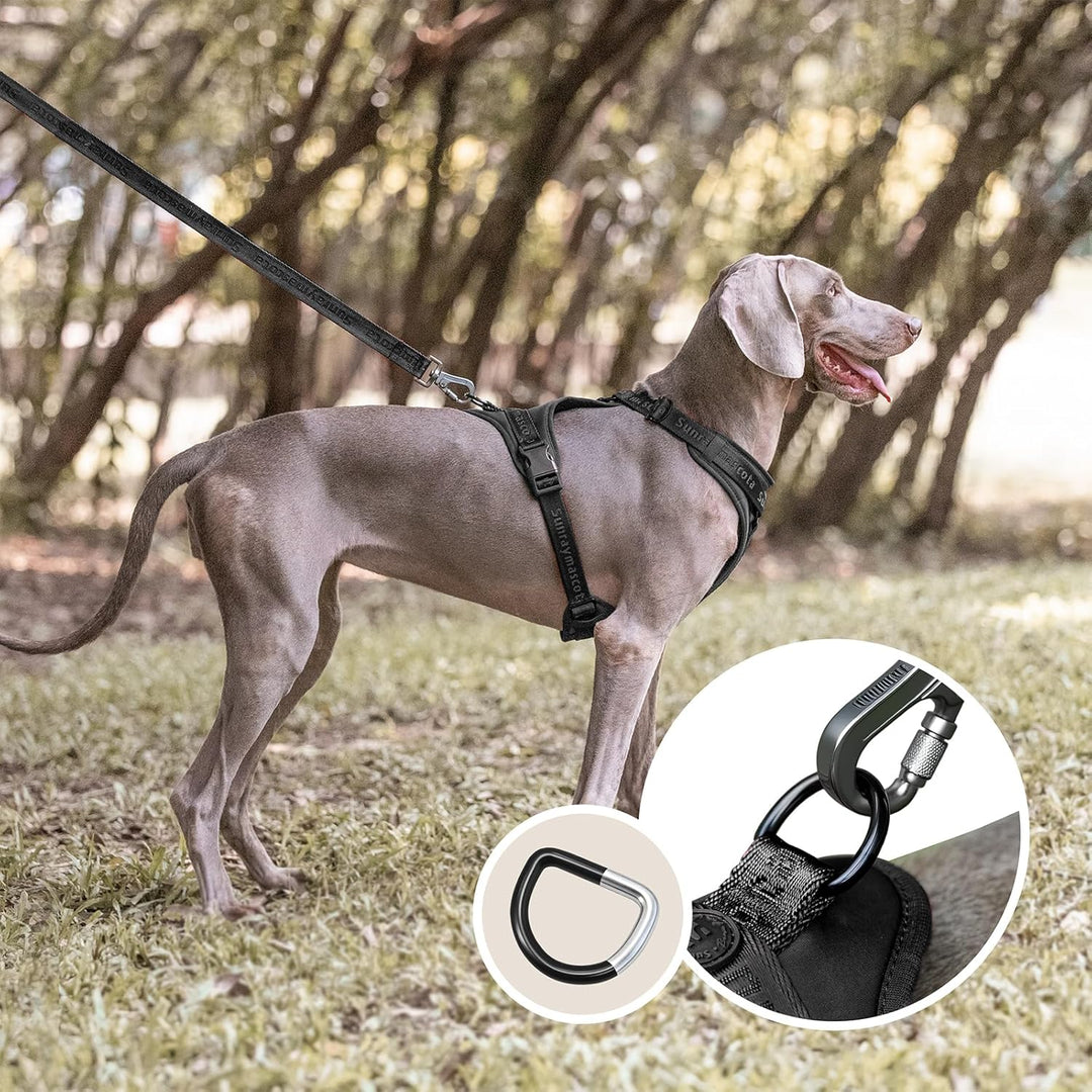 No Pull Hundegeschirr mit weicher Lycra-Polsterung, atmungsaktiver Komfortweste aus Mesh, Verstellba