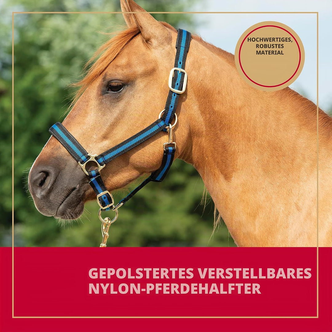 Weaver Leather Basic verstellbares Halfter Türkis Average Horse, Türkis Average Horse