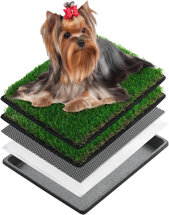 MEEXPAWS Hundetoilette Hundegras-Pisspads für Hunde mit Tablett | 2× Kunstrasenpads für Hunde | 2 Tr