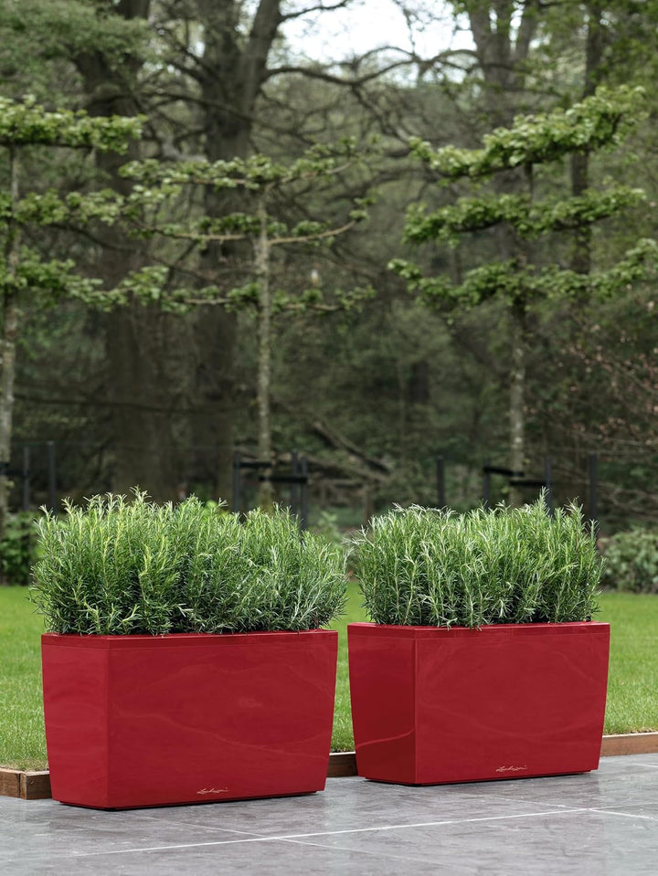 LECHUZA CARARO Premium scarlet rot hochglanz 18829 Scarlet Rot Hochglanz Premium, Scarlet Rot Hochgl