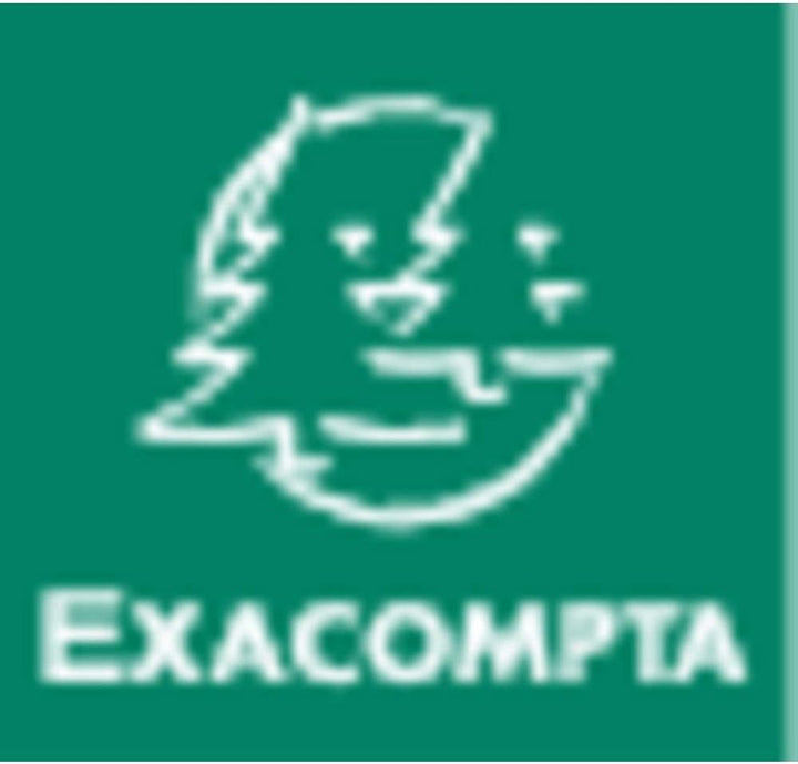 Exacompta 412E Geschäftsbuch DIN A4 kariert 110 g/qm, 200 Blatt