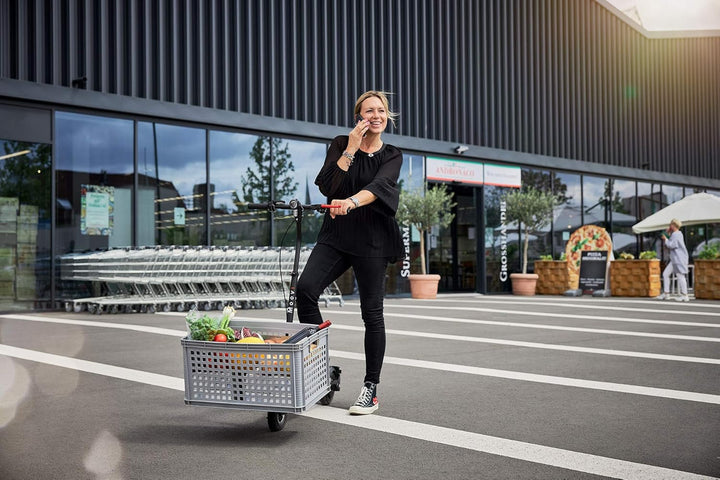 Moovi - MoovIt Lastensystem/Gepäckträger E-Scooter Mini und PRO