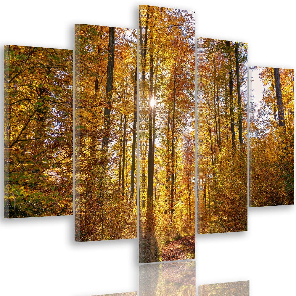 Feeby Wandbild XXL 5 Teilig Landschaft Leinwandbild Bäume Blätter Natur orange 300x140 cm Leinwandbi