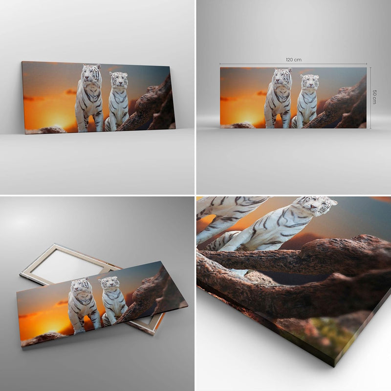 Wandbilder Dekoration Wohnzimmer Tiger weiss Rock Sonnenuntergang Panorama Bilder auf Leinwand 120x5