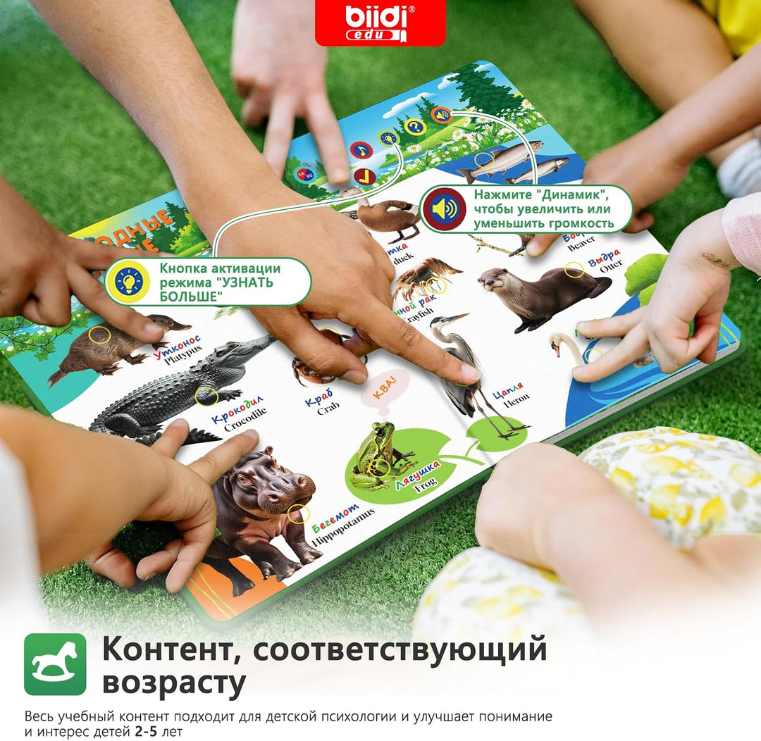 Soundbuch Englisch Russisch zweisprachig aufladbar Kinderspielzeug 3-6 Jahr | 40 Lieder 30 Geschicht