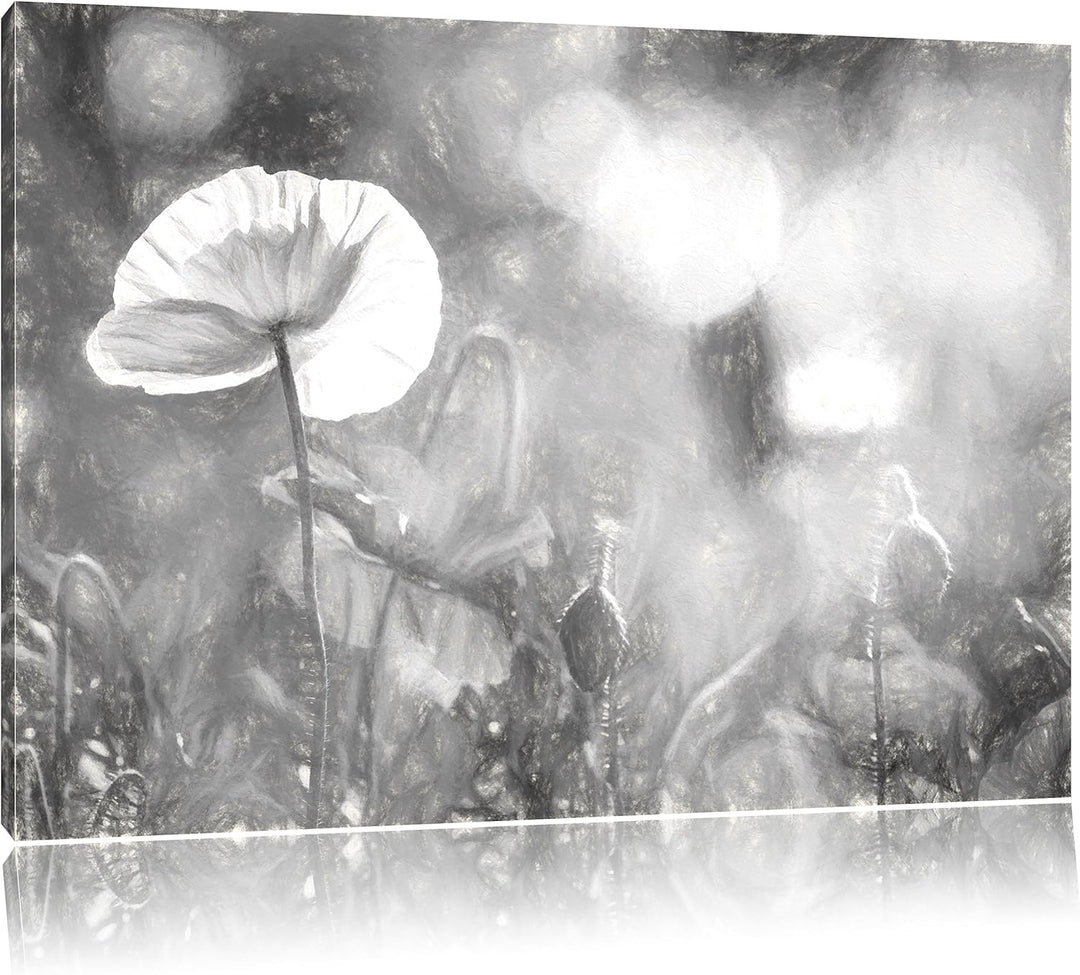 Pixxprint Kalifornischer Mohn im Frühling Kunst Kohle Effekt, Format: 100x70 auf Leinwand, 100x70