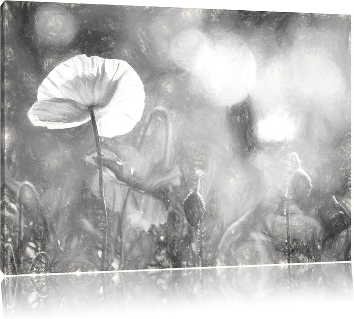 Pixxprint Kalifornischer Mohn im Frühling Kunst Kohle Effekt, Format: 100x70 auf Leinwand, 100x70