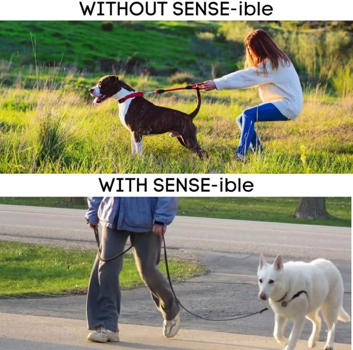 Sense-ible Hundegeschirr, kein Ziehen, Grösse M, Schwarz schwarz