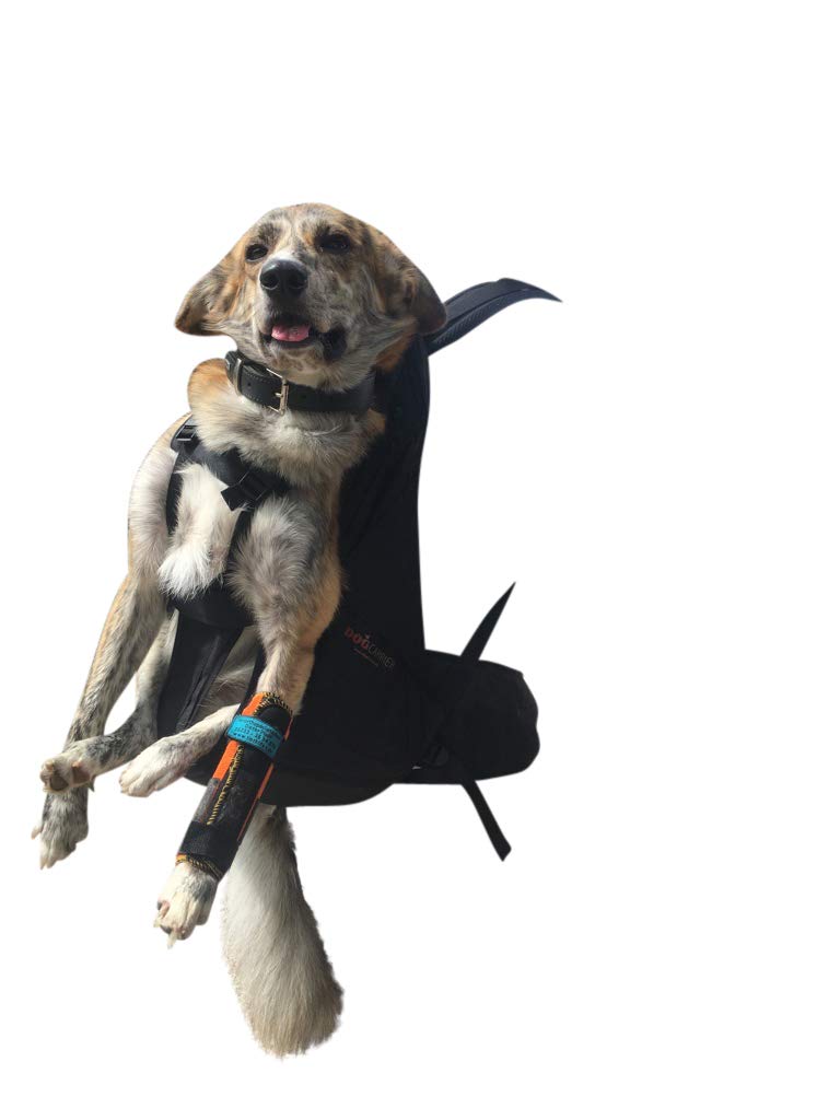 Dog Carrier T2 Rucksack für Hunde von 9 bis 16kg als Hunderucksack/Hundetrage/Hundetasche/m. integri