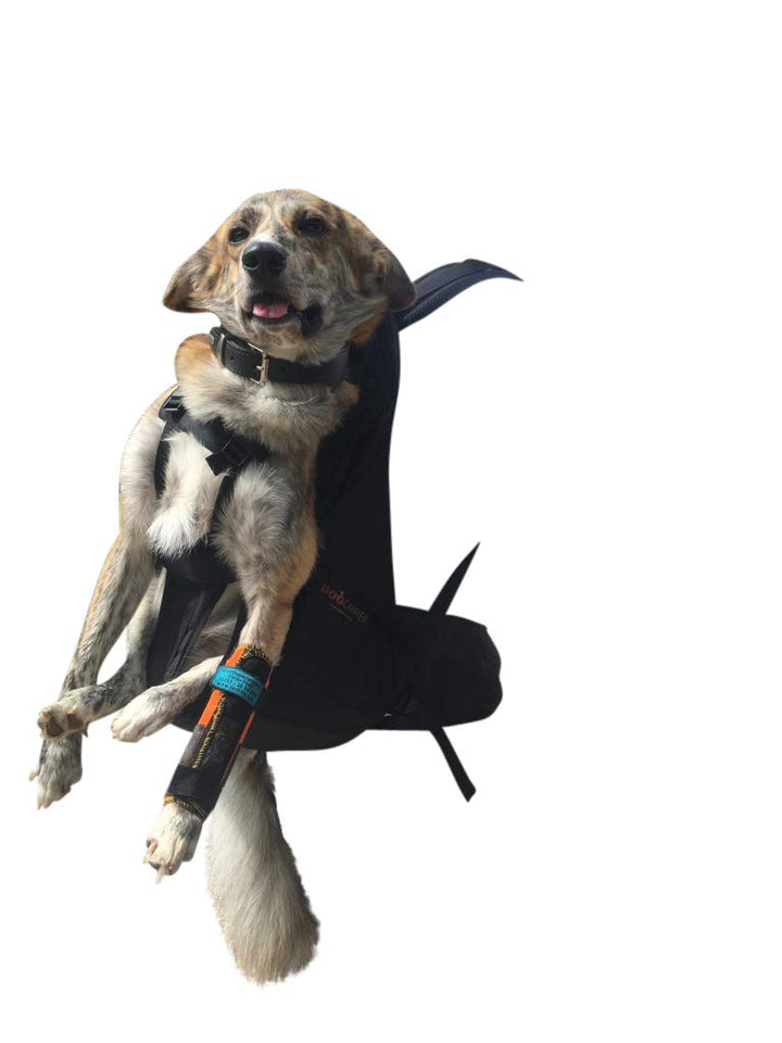 Dog Carrier T2 Rucksack für Hunde von 9 bis 16kg als Hunderucksack/Hundetrage/Hundetasche/m. integri