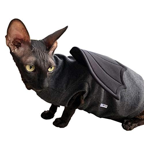 Katzen Kleidung T-Shirt Dragon, XS