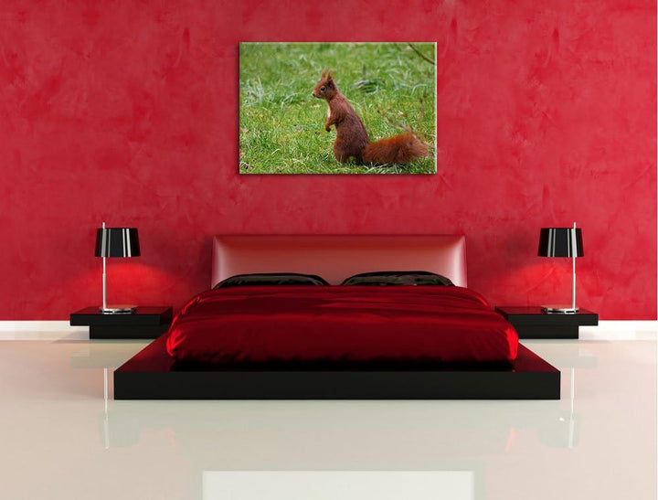 kleines Eichhörnchen auf Waldboden Leinwand, XXL riesige Bilder fertig gerahmt mit Keilrahmen, Kunst