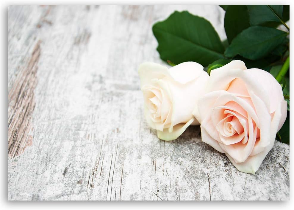 Feeby Leinwandbild Rose Bild Kunstdruck Pflanze Beige 70x50 cm M14554 70x50 cm, M14554 70x50 cm