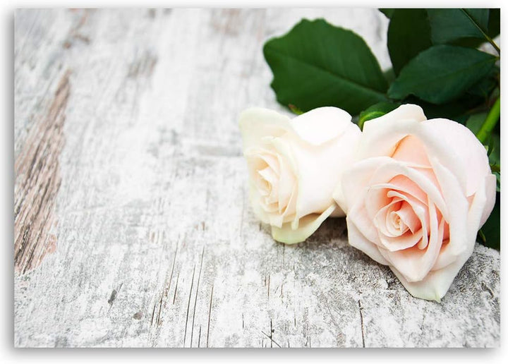 Feeby Leinwandbild Rose Bild Kunstdruck Pflanze Beige 70x50 cm M14554 70x50 cm, M14554 70x50 cm