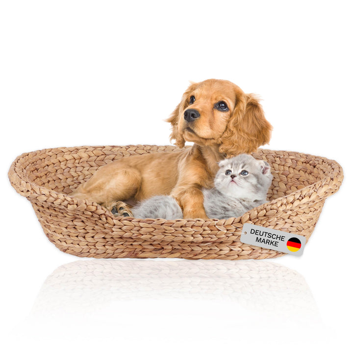 Katzenbett Hundebett für kleine Hunde | Kissen waschbar bei 30° | ovale Form mit hohem Rand | Wasser