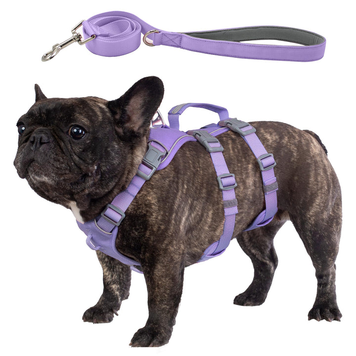 Wuffley Hundegeschirr mit Leine, Sicherheitsgeschirr Hund Ausbruchsicher, Anti Zug Hundegeschirr mit