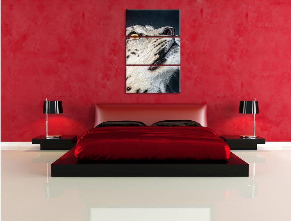 Pixxprint aufschauender Schneeleopard als Leinwandbild - Grösse: 3-Teilig (120x80cm) - Wandbild - Ku